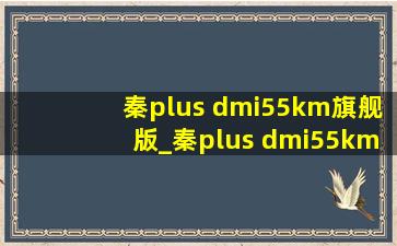 秦plus dmi55km旗舰版_秦plus dmi55km旗舰版落地多少钱